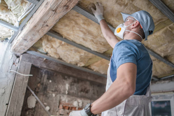 Best Soundproof Insulation Installation  in Ruidoso Downs, NM